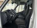 Renault Master L3H2 Mixto Doka *Kasten + 7-Sitze* Weiß - thumbnail 6