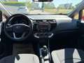 Kia Rio Rio 1,2 MPI Titan Titan Rot - thumbnail 18