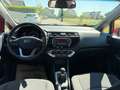 Kia Rio Rio 1,2 MPI Titan Titan Rot - thumbnail 16