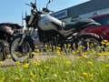 Benelli 500 Leoncino Trail - A2-Klasse möglich - Aktion Silber - thumbnail 5
