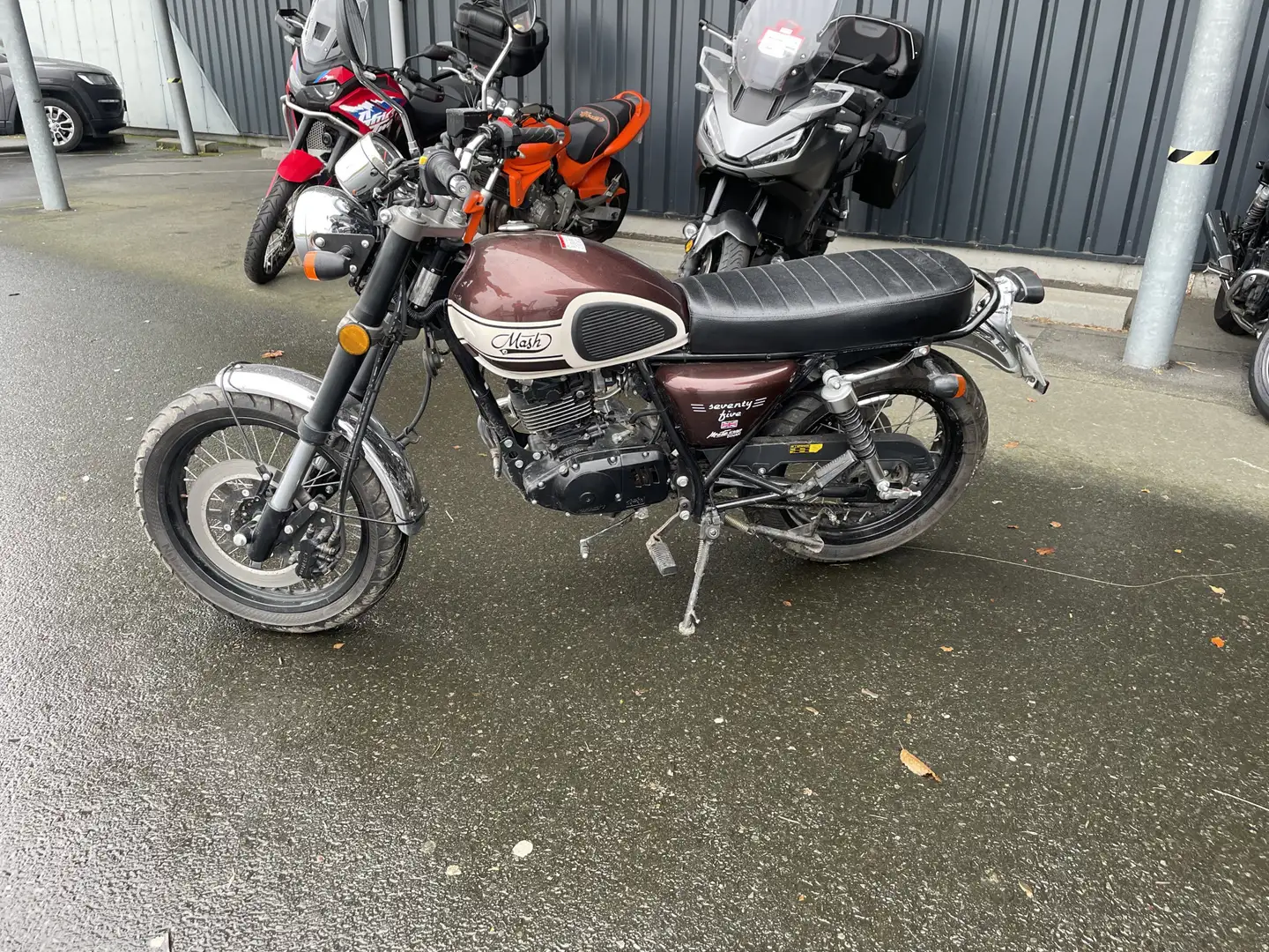 Mash Seventyfive 125 Brun - 2