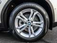 BMW X3 xDrive20d A AHK RFK NAVI LED PDC V+H DAB LM Weiß - thumbnail 6