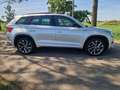 Skoda Kodiaq 1.5 TSI Sportline Business, panoramadak Gris - thumbnail 8