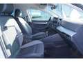 Volkswagen Golf VIII GOAL 1.5 l TSI OPF 116 PS 6- Weiß - thumbnail 6