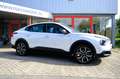 Citroen E-C4 X Feel Pack 50 kWh Aut. Navi|Cam|CarPlay|LMV Weiß - thumbnail 4