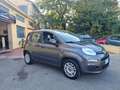 Fiat Panda Panda III 2016 1.2 Lounge s Gris - thumbnail 5