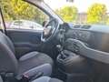 Fiat Panda Panda III 2016 1.2 Lounge s Gris - thumbnail 9