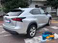 Lexus NX 300 Hybrid 4WD Luxury Argento - thumbnail 7
