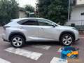 Lexus NX 300 Hybrid 4WD Luxury Argento - thumbnail 8