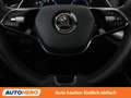 Skoda Octavia 1.4 TSI iV Style Grau - thumbnail 19