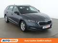 Skoda Octavia 1.4 TSI iV Style Grau - thumbnail 8