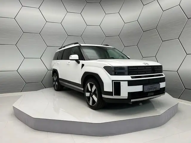 Hyundai Santa FE view 8
