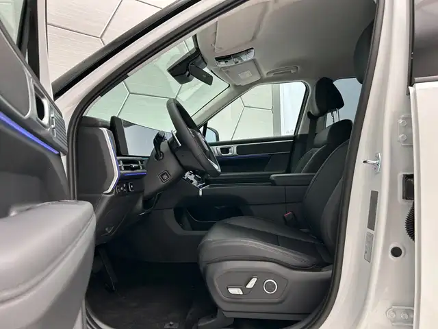 Hyundai Santa FE view 11