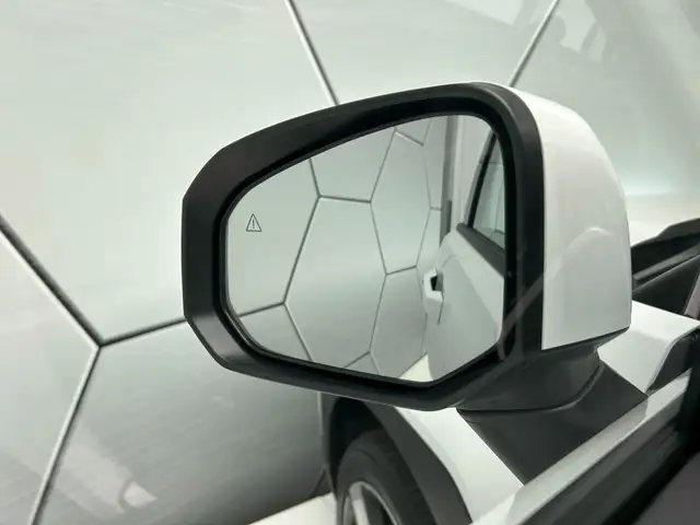 Hyundai Santa FE view 15