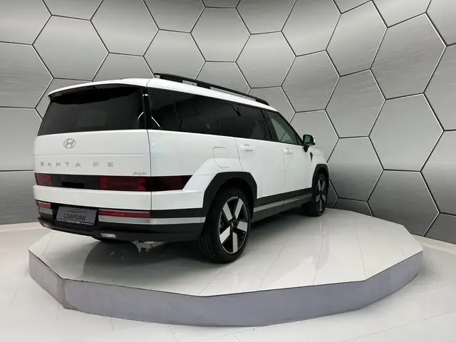 Hyundai Santa FE view 6