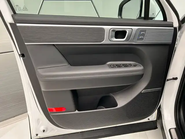 Hyundai Santa FE view 14