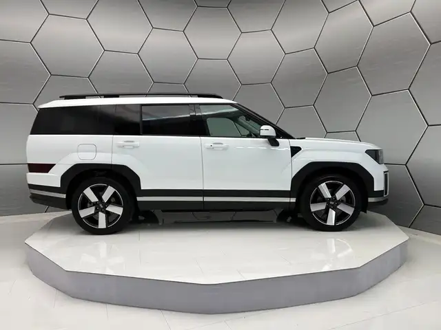 Hyundai Santa FE view 7