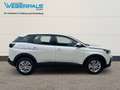 Peugeot 3008 Active PureTech 130*NAVI-Sitzheizung-Kamera* Weiß - thumbnail 14