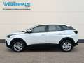 Peugeot 3008 Active PureTech 130*NAVI-Sitzheizung-Kamera* Weiß - thumbnail 13