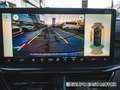 Ford Focus 1.0 Ecoboost MHEV ST-Line X 125 Rot - thumbnail 24