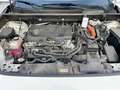 Toyota RAV 4 RAV 4 2.5 4x4 Hybrid Style Selection Blanc - thumbnail 14