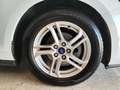 Ford Focus 1.5Ecoblue Trend+ 120 Blanc - thumbnail 9