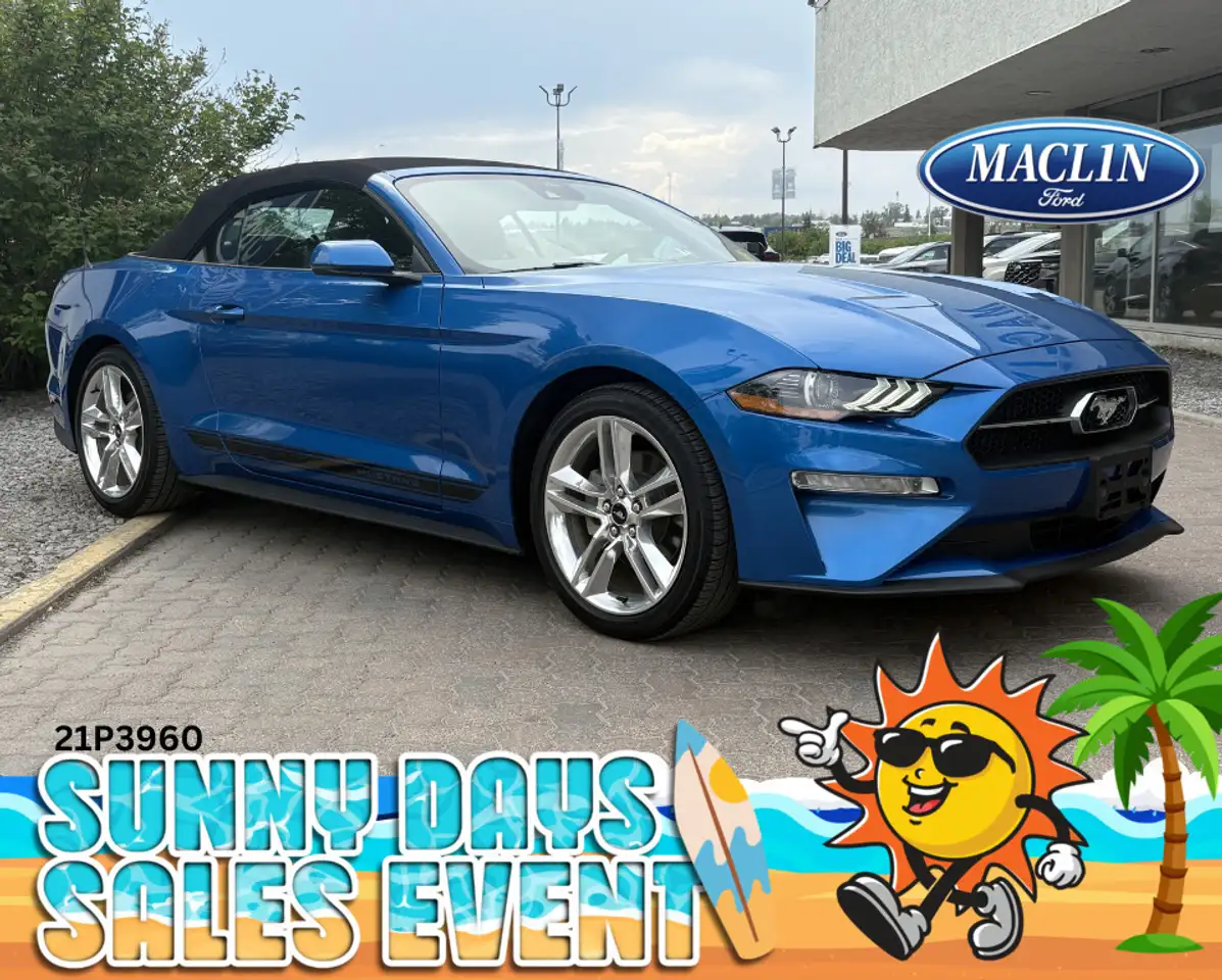 Ford Mustang fotografie Ford Mustang