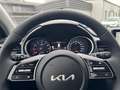 Kia Ceed / cee'd ceed Sportswagon 1.5 Top EU Spirit|BUSINESS|LED|NA Azul - thumbnail 16