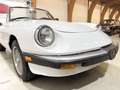 Alfa Romeo Spider - ONLINE AUCTION Wit - thumbnail 12
