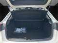 Mercedes-Benz A 180 d A-Edition Progressive Line Facelift Weiß - thumbnail 5