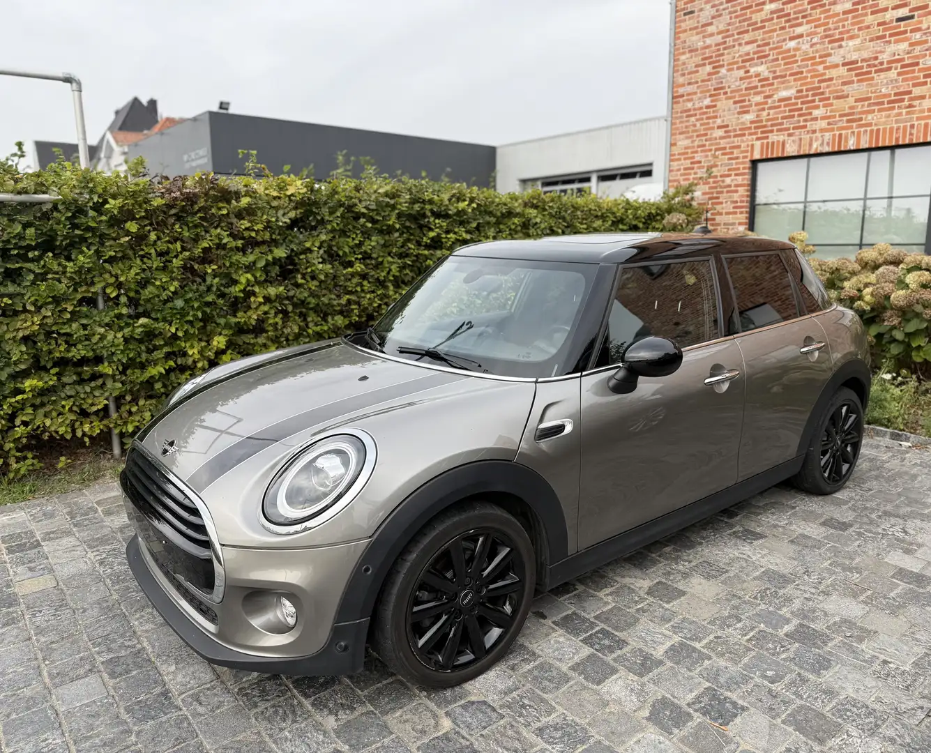 MINI Cooper Mini Cooper 60 Years Chili - 2