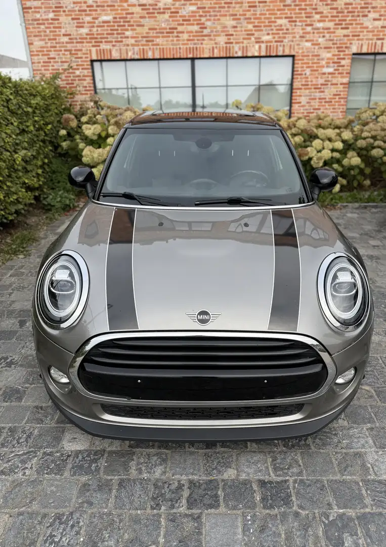 MINI Cooper Mini Cooper 60 Years Chili - 1