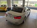 BMW 420 420i Cabrio Sport auto PROMO DICEMBRE Weiß - thumbnail 18