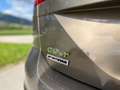 Volkswagen Golf Sportsvan Comfortline BMT/Start-Stop Braun - thumbnail 34