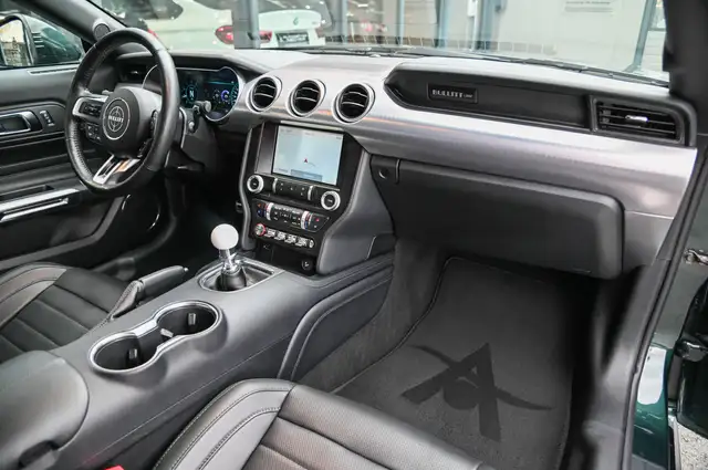 Ford Mustang view 10
