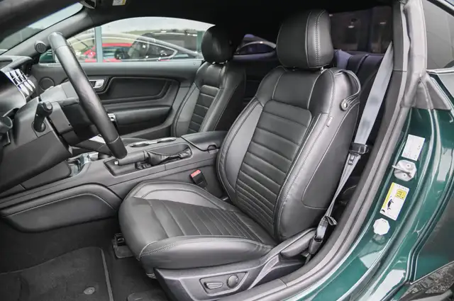Ford Mustang view 11