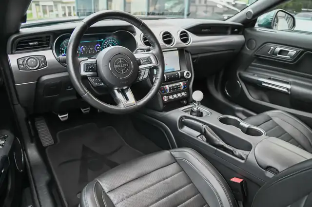 Ford Mustang view 9