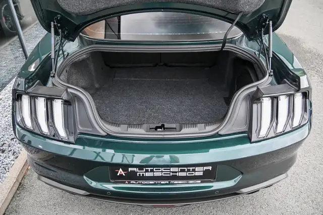 Ford Mustang view 8