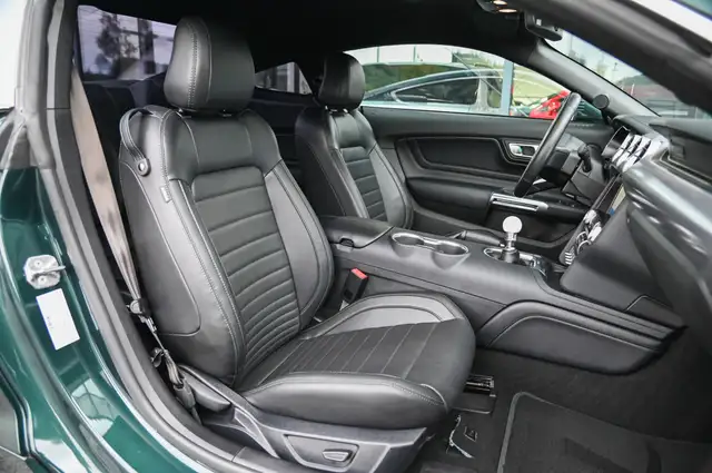 Ford Mustang view 12