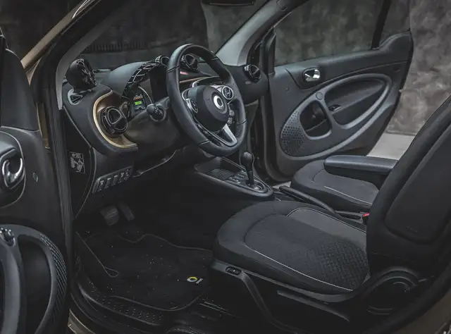 Smart Fortwo view 15