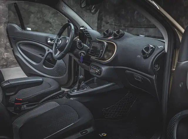 Smart Fortwo view 11