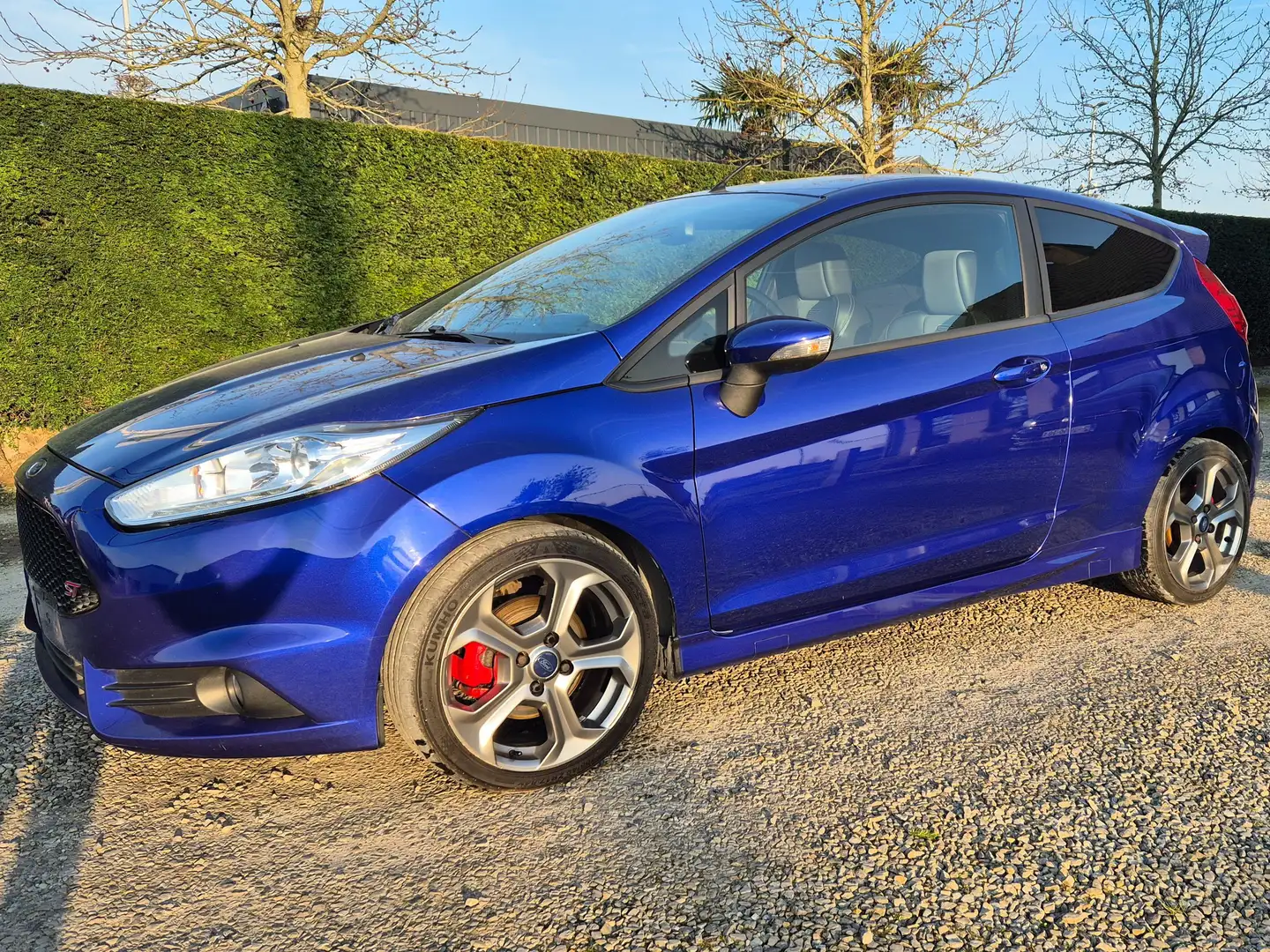 Ford Fiesta ST Bleu - 1