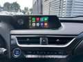 Lexus UX 250h First Edition, Aut, Trekhaak, Alcantara, Cam, ACC, Groen - thumbnail 20