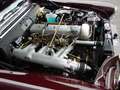 Mercedes-Benz 300 SE Cabriolet Matching Vol Restauriert Rojo - thumbnail 23