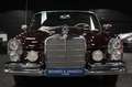 Mercedes-Benz 300 SE Cabriolet Matching Vol Restauriert Rojo - thumbnail 36