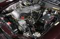 Mercedes-Benz 300 SE Cabriolet Matching Vol Restauriert Rojo - thumbnail 31