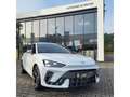 CUPRA Leon SP 1.5 eTSI 110 kW 7 G DSG*ACC*EDGE*RFK*GJR*IPA Wit - thumbnail 1