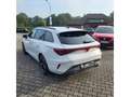 CUPRA Leon SP 1.5 eTSI 110 kW 7 G DSG*ACC*EDGE*RFK*GJR*IPA Wit - thumbnail 3