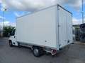 Peugeot Boxer 435 2200 BLUEHDI 140CV FURGONE CLIMA ITALIA White - thumbnail 4