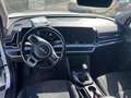 Kia Sportage Sportage V 2022 1.6 tgdi mhev Business imt Bianco - thumbnail 14